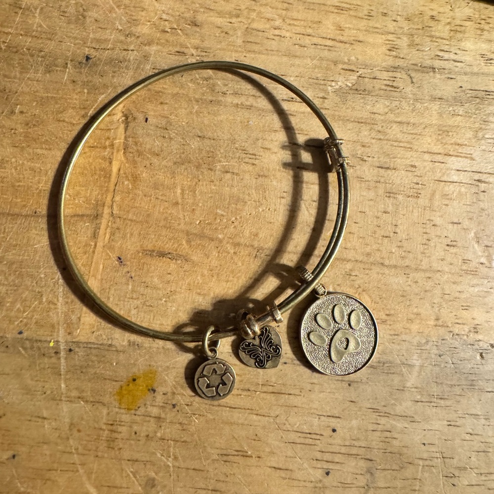 RCI Paw Bronze Slide Bracelet